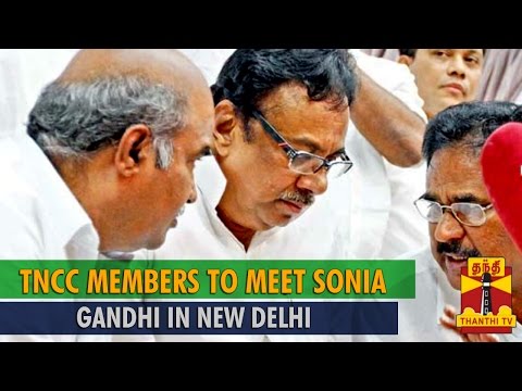 Tamil Nadu Congress functionaries meet Sonia, Rahul - WorldNews