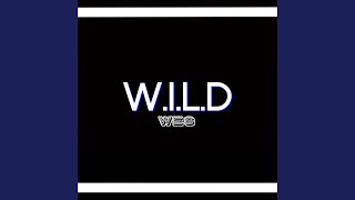 Watch Wild Wes Gotta Keep It Goin video