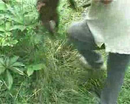Conservation Hunting of Possums in NZ