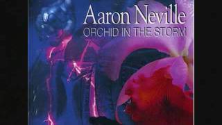 Watch Aaron Neville Earth Angel video