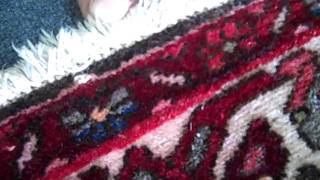 Rug Cleaning Cambridge, Art of Clean, What are white knots on a rug?