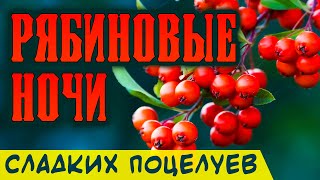 Уходит Тихо Осень Рябиновые Ночи Александр Закшевский