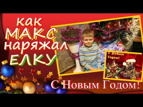 Семена цветов сеем под зиму Семена цветов сеем под зиму