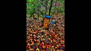Devils Den State Park
