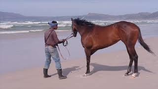2020 SUNMET PODCAST - from Crawford Racing