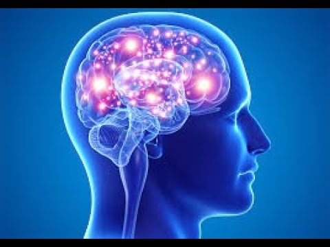Hypnomachie, les vidéos classiques