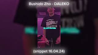 Bushido Zho - Daleko (Snippet 16.04.24) / Ускакала В Поле Молодая Лошадь (Tiktok)