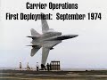 Farewell to the F-14 Tomcat