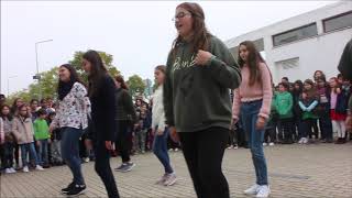 Hastear da Bandeira verde ECO-ESCOLAS 2018