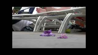 Trampledunderguys - Candid Male Feet Crush Flower
