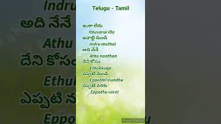 Learn Tamil Small Sentencestamil Sentences Through Telugulearn Tamil Through Telugu
