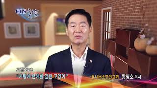 사랑에 은혜를 갚은 고양이