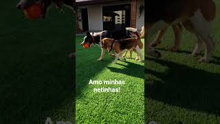 Serena E Bisteca