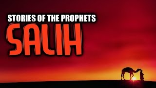 Video: Shelakh [Camel Of Allah] - IslamicCinema