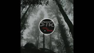 Bodiev Караван Slowed & Reverbed