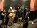CRACOLÂNDIA