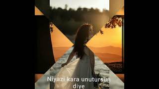 Niyazi Kara Unutursun Diye