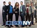 CSI: NY episode 13 season 2 - Risk (new)