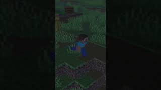 Steve Walking In Biome