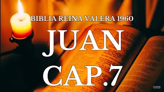 Biblia Hablada-Biblia Reina Valera 1960 Juan Cap 7
