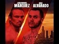 Juan Manuel Marquez vs Mike Alvarado Predictions and Highlights