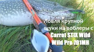 Ловля крупной щуки на воблеры с Carrot STIX Wild Wild Pro 70