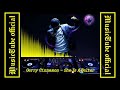 Gerry Cinnamon - She Is A Belter Remix visualization MusicTube official