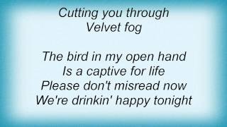 Watch Tindersticks Velvet Fog video