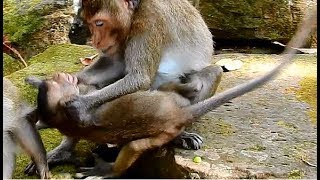 April hit baby Spring cry loudly| So pity Spring got bite by mom cos milk.