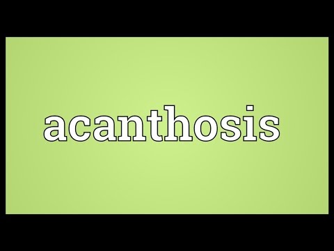 Header of acanthosis