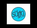 The Surfin' Birds - Paranoid Bitchin' Blues (Garage Version)