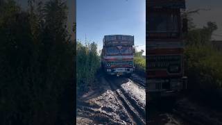 Tata 1613 The Legendary Truck