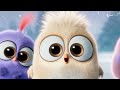 Angry Birds Movie All Clips 2016 Angry Birds Movie All Clips 2016