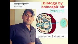 लइससम क खज, करय और सरचन Lysosome In Hindi Lysosome Structure And Function