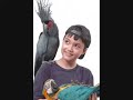 image Ciuman Si Burung Liburan Di Bali Bird Park