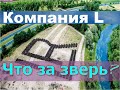 Компания LR