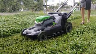 EGO TWIN BLADE TECHNOLOGY TEST (Mowing Tall Wet Grass)