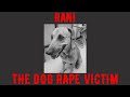 Rani - Dog Rape Victim #justiceforrani