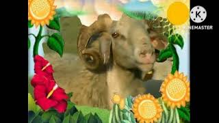 The Amazing World Baby Tv Sheep