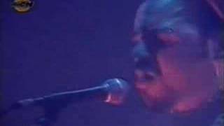 Watch Animal Lejos De Casa video