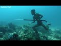 pesca con arpon
