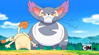 Glameow And Purugly Pokédex Entries..wmv