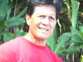 La`au Lapa`au: Traditional Hawaiian Herbal Healthcare