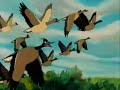 مغامرات نيلز الØÙ„قة 51-2.flv