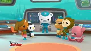 Octonauts, Saison 3 - Episode 3