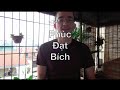 Phuc Dat Bich: How to pronounce Vietnamese names