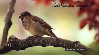 Allah Senden Vazgeçer Mi Hiç? Umudun Yoksa Dinle
