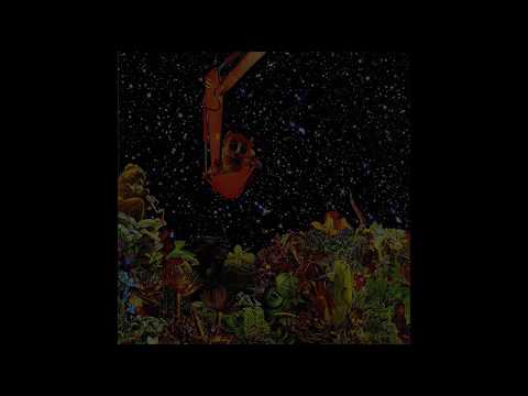 Delirium Aquarium Video