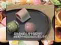 wagashi 和菓子 JAPANESE SWEETS
