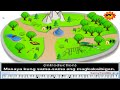 Masaya Kung Sama-sama - Nursery Rhymes | Filipino Children Song (Karaoke)